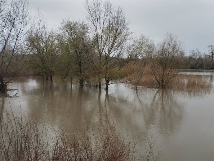 Archivo - El Tajo a su paso por Talavera de la Reina, el pasado 11 de marzo de 2025.