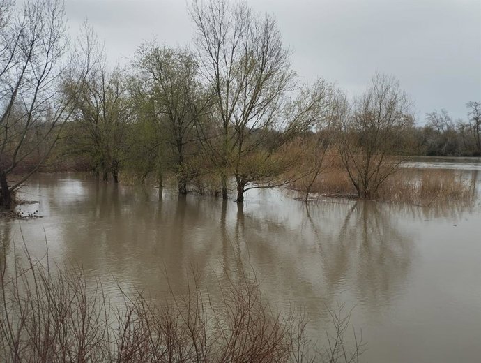 Archivo - Arquivo - O Tejo ao passar por Talavera de la Reina em 11 de março de 2025.