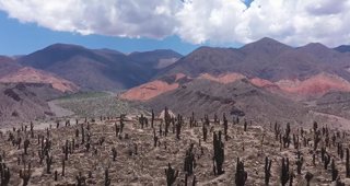 Ruinas y Fósiles