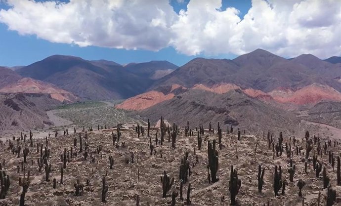 La expansión humana por América desde Asia recorrió emabientes extremos