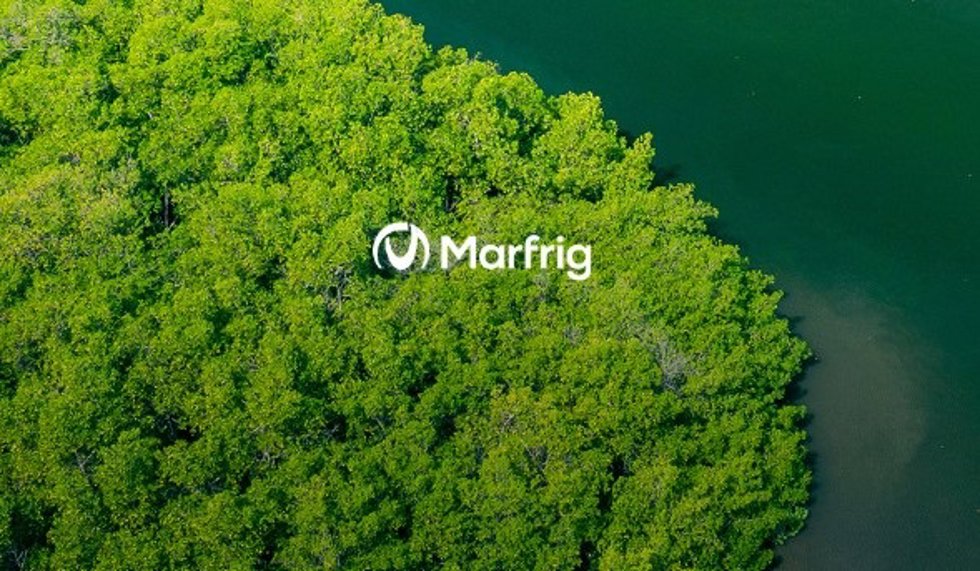 Archivo - Marfrig
