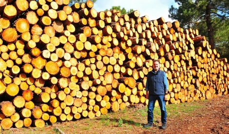 Es Andalucía - Granada