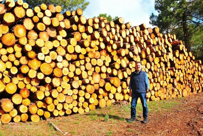 El delegado de Sostenibilidad y Medio Ambiente de la Junta en Granada, Manuel Francisco García.