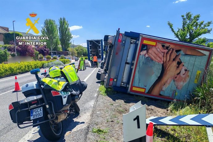 Estado del camión cargado con 1.200 cerdos que ha volcado a la altura de Montón (Zaragoza).
