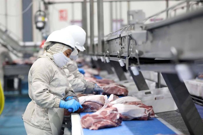 Kekén; la integración de modelo productivo único en México