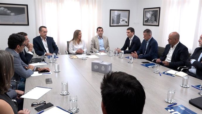 Tenerife creará una comisión técnica con operadoras de telecomunicaciones para fortalecer el sistema en la isla