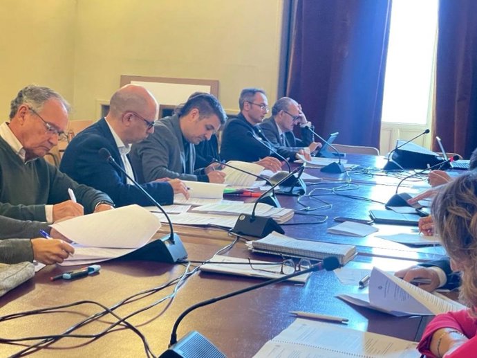 Concejales de VTLP, PSOE y Vox, en la Comisión municipal que aborda los asuntos de Tráfico y Movilidad.