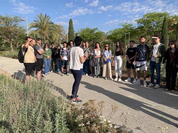 La UMH instala hoteles de insectos y "Olmos Vivos" en sus cuatro campus