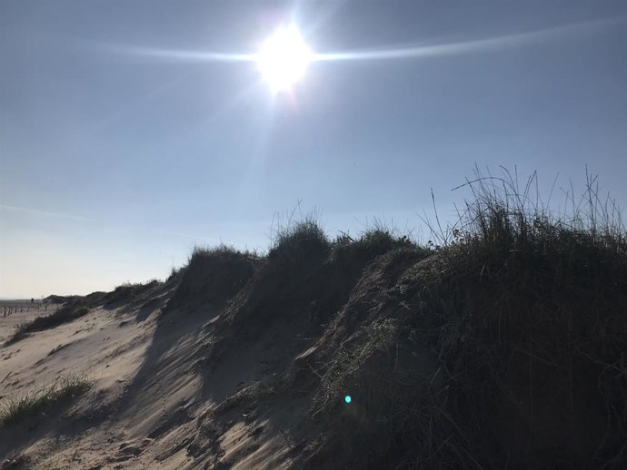 Archivo - Arxive - Sol, calor, platja