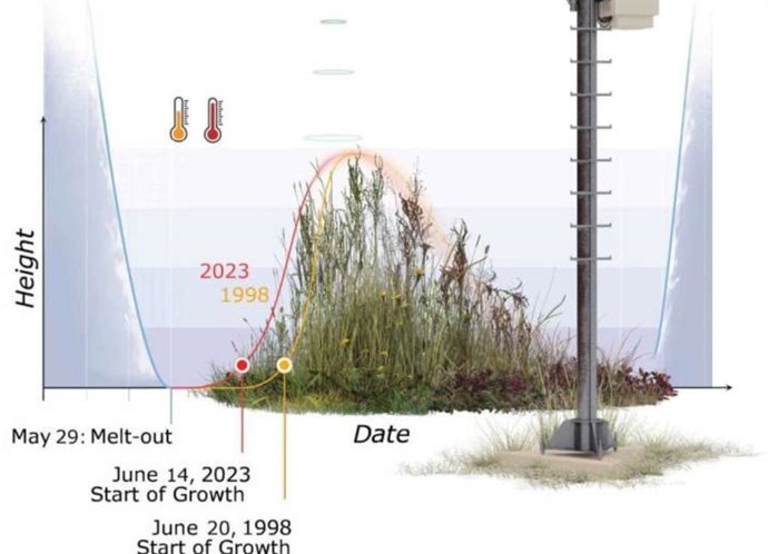 El crecimiento de las plantas en las montañas ha avanzado seis días desde 1998