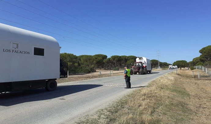 Archivo - Salida de una hermandad por la carretera de El Rocío (Huelva).