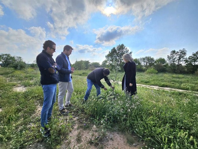 Finalizan los trabajos de recuperación del tramo final del río Cidacos en Calahorra