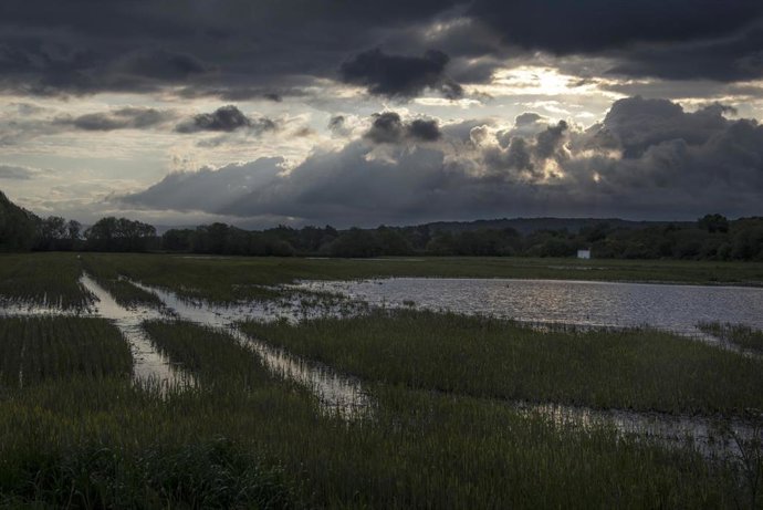 Parcela inundada, antigua laguna de Antela, en Piñeira Seca, a 16 de mayo de 2025, en Xinzo de Limia, Ourense, Galicia (España). 