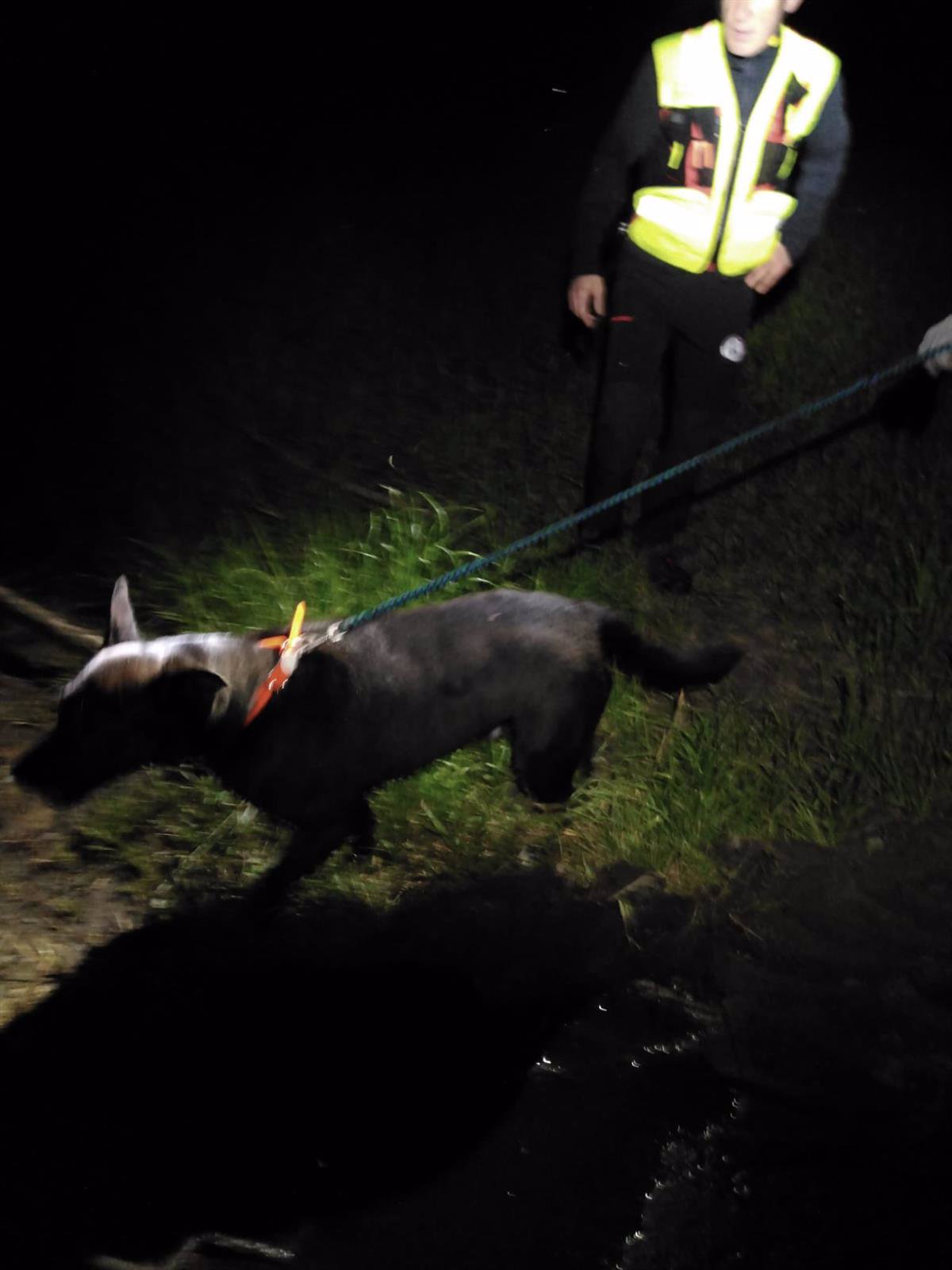 Rescatado un perro caído en una torca de tres metros en Hazas de Cesto