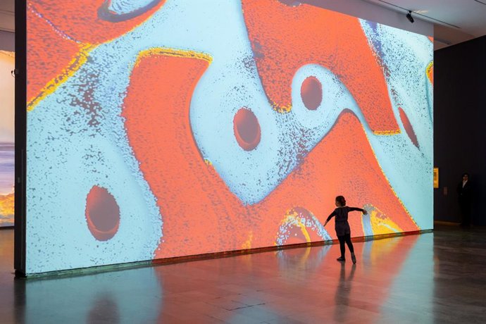 El Centre del Carme celebra el Día Internacional de Museos con flamenco inclusivo y un recuerdo a la barrancada