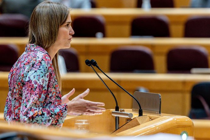 A vice-presidente do governo e ministra da Transição Ecológica e do Desafio Demográfico, Sara Aagesen, fala durante uma sessão de controle do governo no Senado, em 6 de maio de 2025, em Madri (Espanha). Após a queda de energia que afetou o P