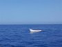 Salvamento Marítimo rescata a 11 migrantes a bordo de una patera que fue localizada a 22 millas de Gran Canaria