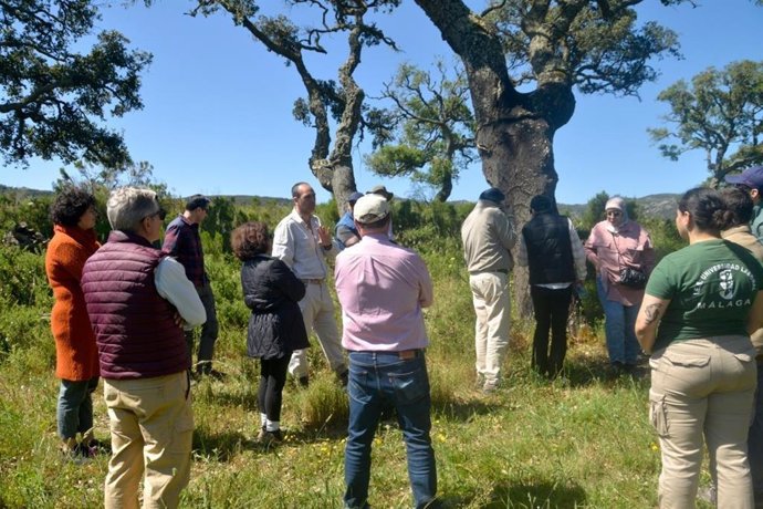 Andalucía expone en un foro con Marruecos celebrado en el Campo de Gibraltar su experiencia en gestión del alcornocal.