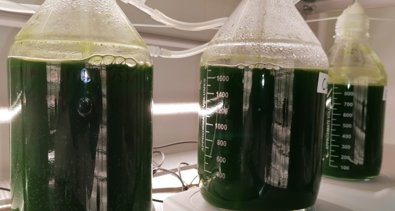 Es Andalucía - Huelva