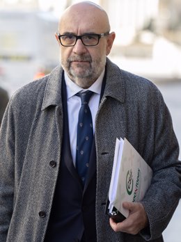 Archivo - El presidente de la Central Sindical Independiente y de Funcionarios (CSIF), Miguel Borra, a su llegada a una reunión para analizar las reivindicaciones laborales de los trabajadores de las administraciones públicas, en el Congreso de los Diputa