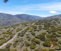 Rescatado un varón indispuesto en una senda en San Juan de Gredos (Ávila)