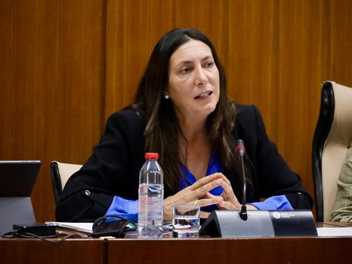 La consejera de Inclusión Social, Juventud, Familias e Igualdad, Loles López, en comisión parlamentaria, en una imagen de archivo