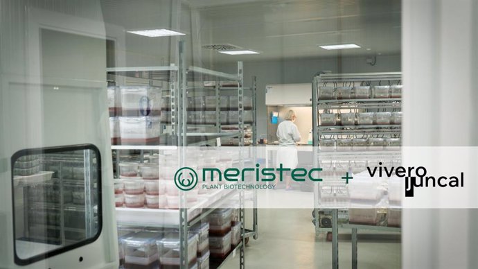 Laboratorios de Meristec