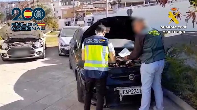 Operación Masina de la Policía Nacional y la Guardia Civil