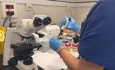 Foto: La Fundación Vithas coordina actualmente 287 proyectos de investigación, entre los que se incluyen 146 ensayos clínicos