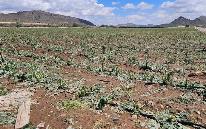 Daños por la granizada.