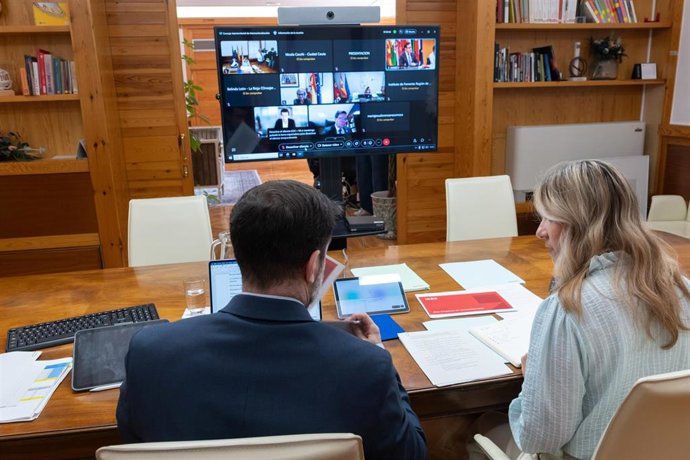La vicepresidenta y consejera de Presidencia, Economía y Justicia del Gobierno de Aragón, Mar Vaquero, y el director de Arex, Javier Campo, en un momento de la reunión telemática de este lunes del Consejo Interterritorial de Internacionalización.