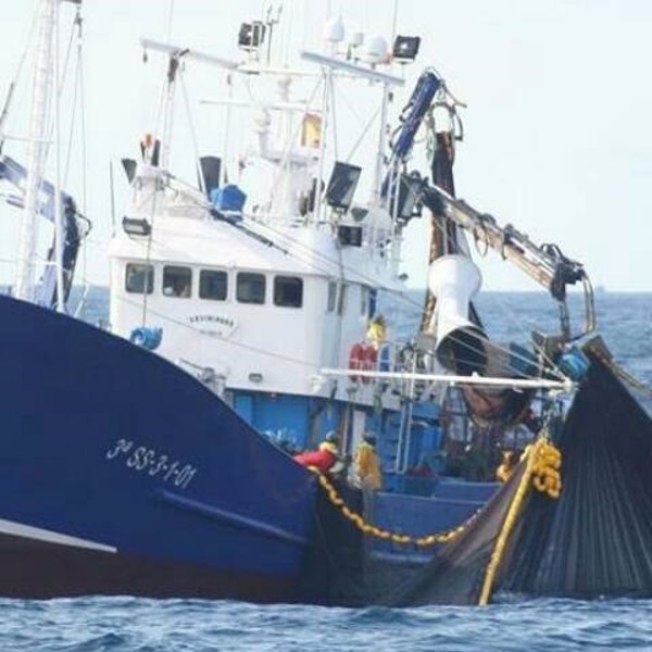 VÍDEO: La UE y Reino Unido sellan un acuerdo para el acceso de flota europea a caladeros británicos hasta 2038 VÍDEO: La UE y Reino Unido sellan un acuerdo para el acceso de flota europea a caladeros británicos hasta 2038
