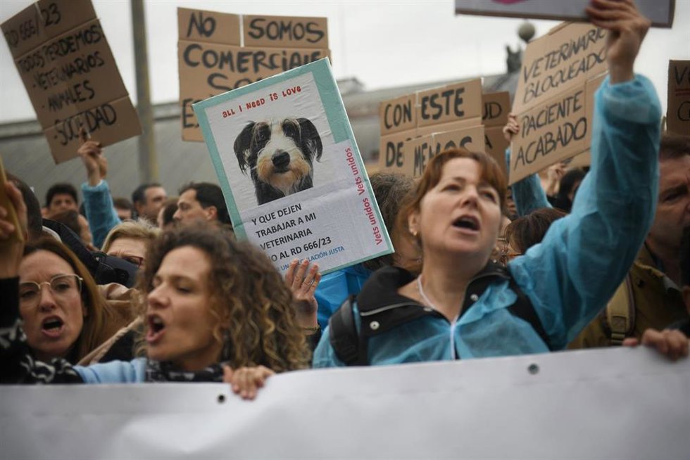 Archivo - Varias personas con carteles durante una concentración de veterinarios por la polémica de la ley de medicamentos, frente al Ministerio de Agricultura, a 5 de marzo de 2025, en Madrid (España).