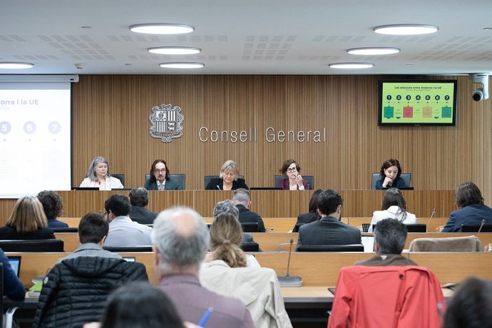 La comparecencia de Landry Riba en el Consell General este lunes.