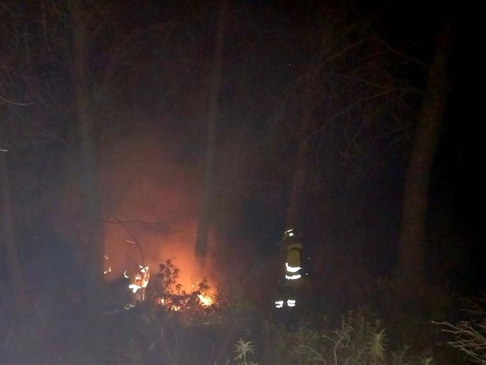 Efectivos del Infoca trabajan en la extinción de un incendio en Alcaucín