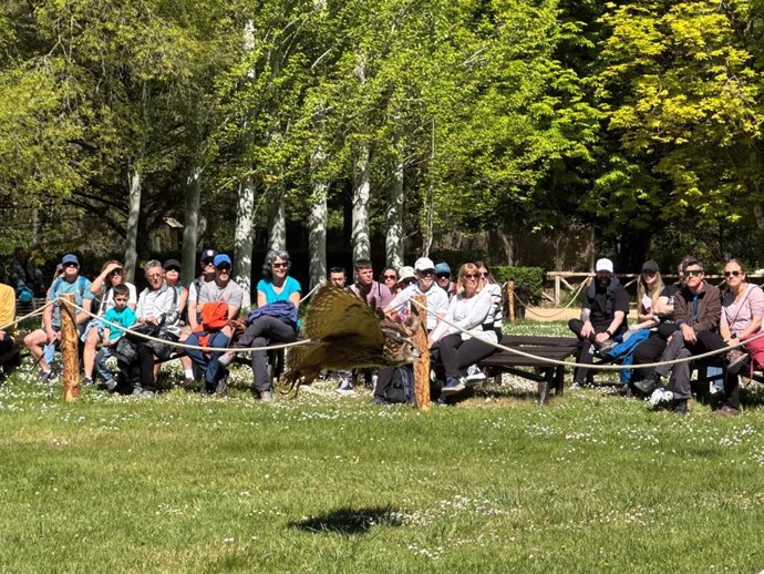 Las aves rapaces vuelven a surcar los cielos del Monasterio de Piedra