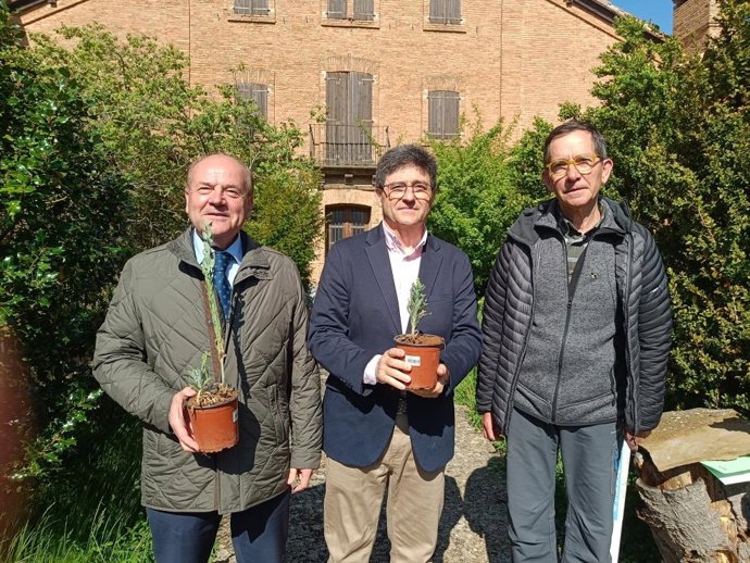 Longás, Calvo y Gómez, con la planta reintroducida. Longás, Calvo y Gómez, con la planta reintroducida.