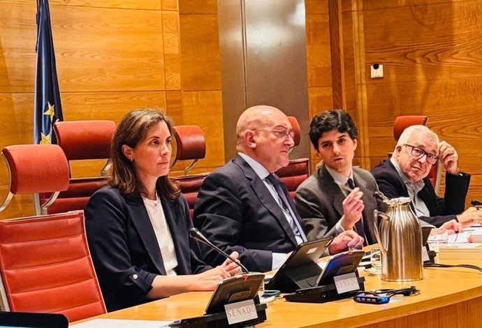 Cristina Casanueva en la Comisión de Transportes y Movilidad Sostenible del Senado de España.