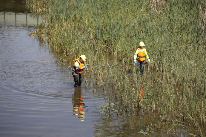 Actuaciones en el río Manzanares para controlar la población de mosca negra