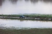 La CHG llama a "todas las administraciones" a "implicarse" en la prevención de inundaciones en Andalucía