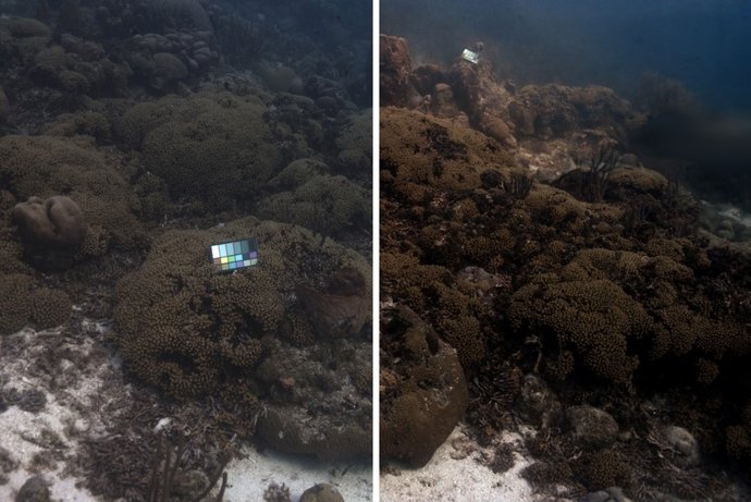 O SeaSplat, uma nova ferramenta de correção de cores, reconstrói as cores verdadeiras de uma imagem subaquática tirada em Curaçao. A foto original está à esquerda e a versão corrigida pelo SeaSplat à direita.