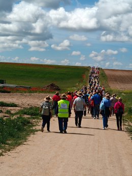 Participantes en el segundo paseo saludable de la Diputación en Alaejos.