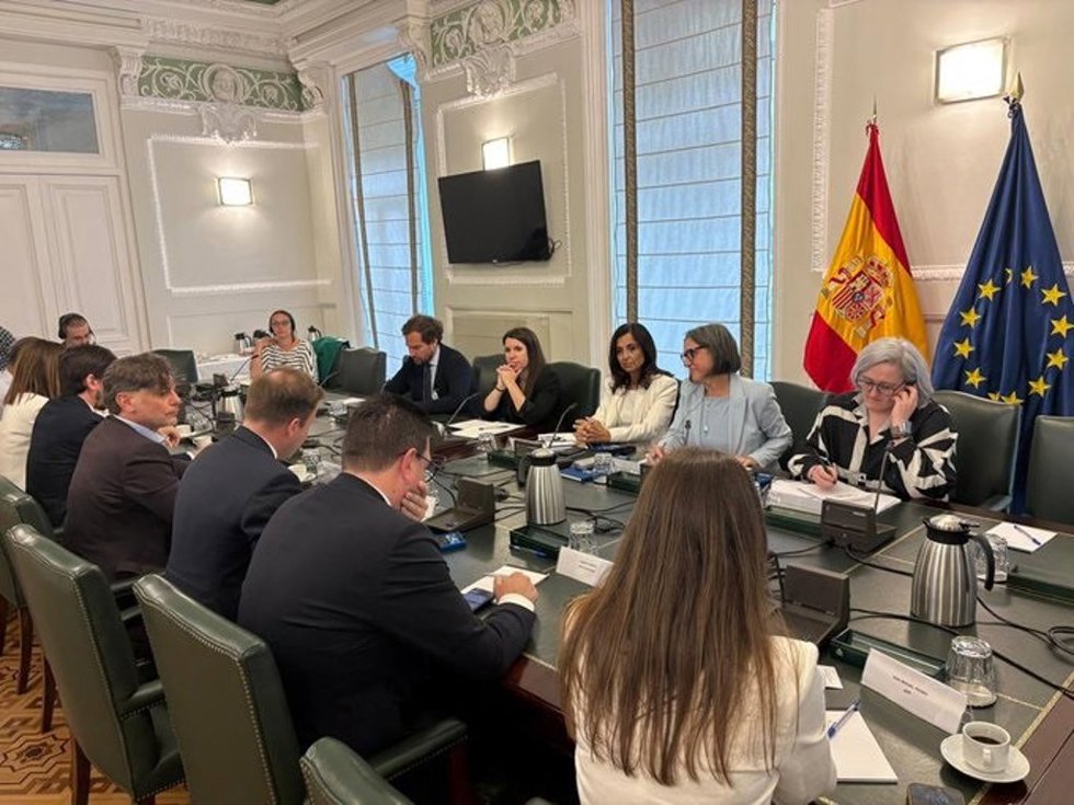 La delegacion de eurodiputados en una de sus reuniones