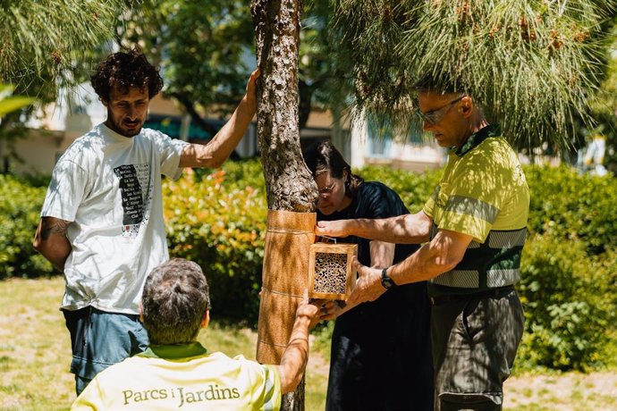 Tècnics instal·len nius d'abelles silvestres a Barcelona