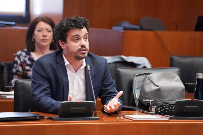 El diputado del PSOE en las Cortes de Aragón Darío Villagrasa.