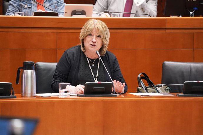 La consejera de Educación, Cultura y Deporte del Gobierno de Aragón, Tomasa Hernández, en la Comisión de las Cortes.