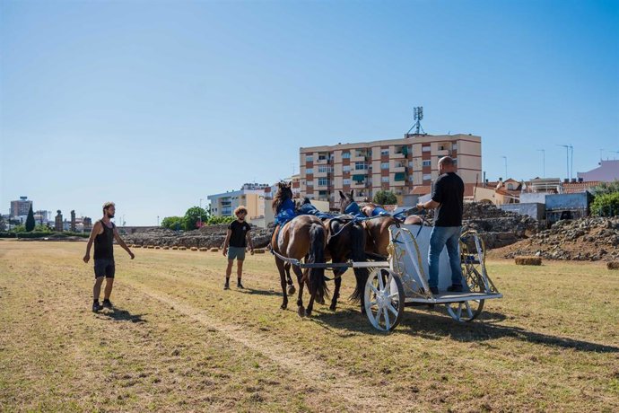 Entrenamiento de cuádrigas en el Circo Romano de Mérida