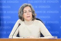 Adelante quiere que la Junta explique los lazos del fondo KKR con la universidad privada Utamed