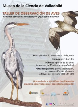 Cartel de talleres de observación de aves en el Museo de la Ciencia de Valladolid.