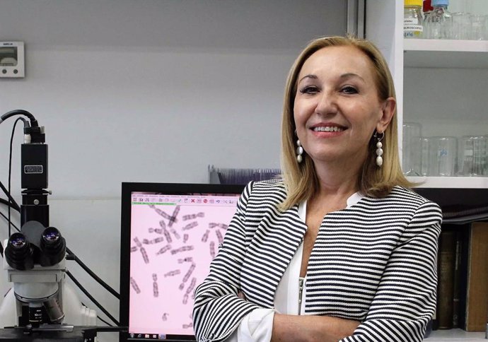 La doctora Carmen Ayuso, directora del IIS-FJD.